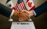 TEMEC
